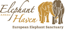 Elephant Haven - European Elephant Sanctuary