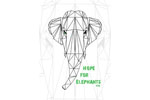 Hope for Elephants