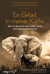 Ein Elefant in meiner Küche