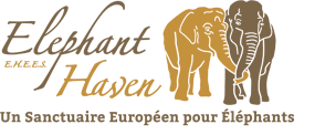 Elephant Haven